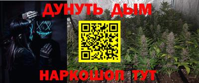 стаф Малгобек