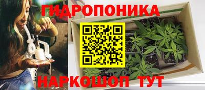 стаф Малгобек