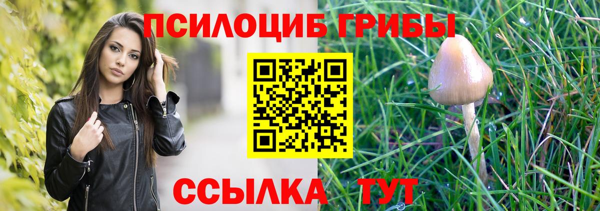 Псилоцибиновые грибы мухоморы  Вход с VPN  Сызрань 
